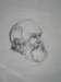 drawing9_small.jpg