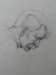 lifedrawing3_small.jpg
