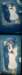 ftx6ftrenoirstreetview_small.jpg